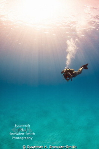 "Where's The Wreck?"- A diver hovers in sunbeams over emp... by Susannah H. Snowden-Smith 